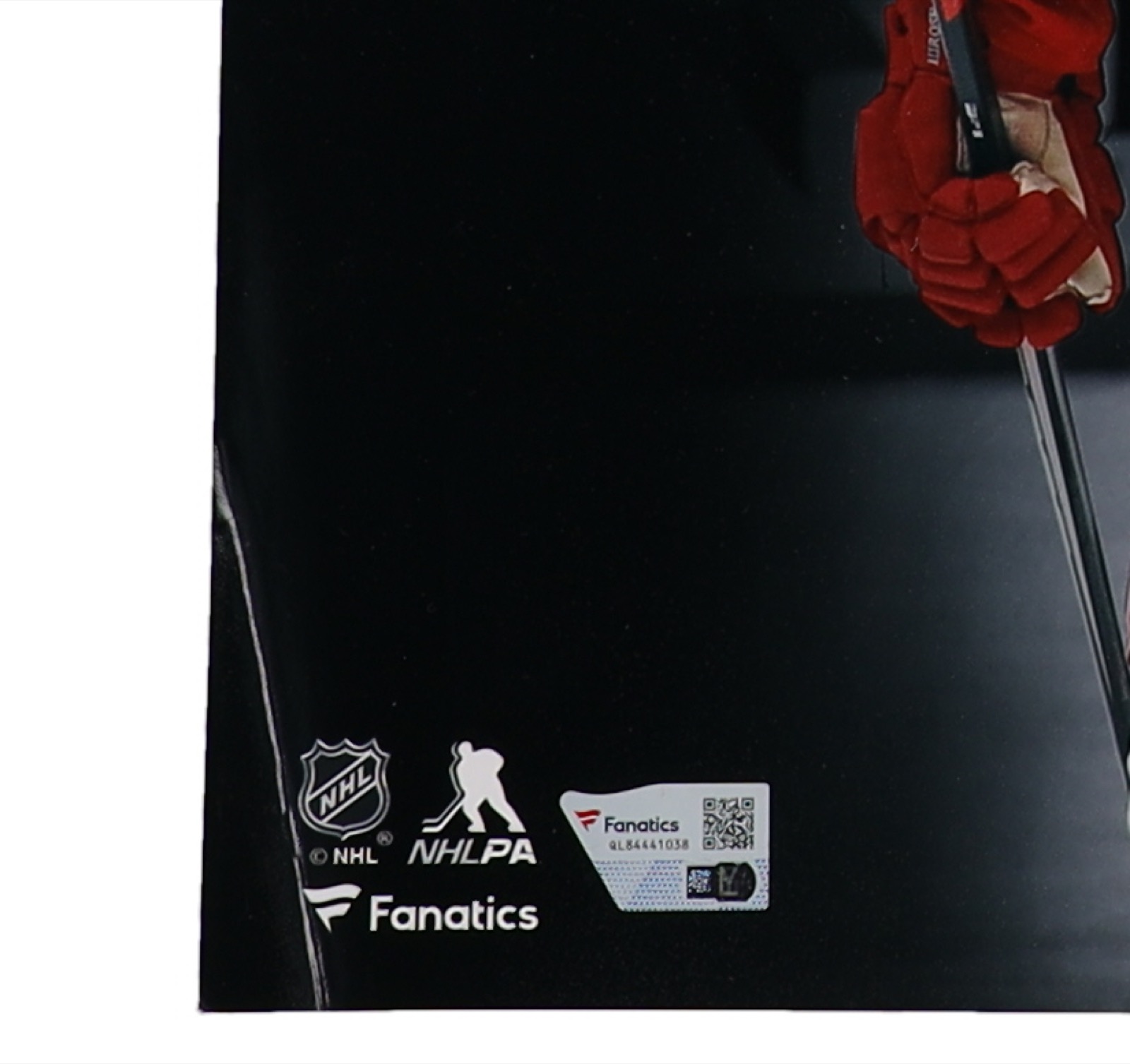 Moritz Seider & Lucas Raymond Signed Red Wings 16x20 Photo (Fanatics) at PristineAuction.com Moritz Seider & Lucas Raymond Signed Red Wings 16x20 Photo (Fanatics) at PristineAuction.com