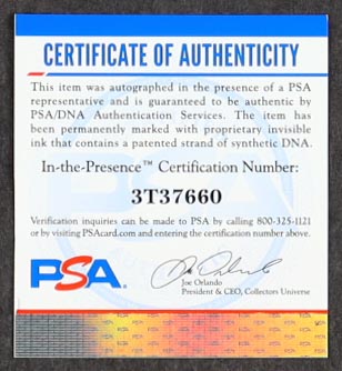 Christopher Morel Signed Cubs Custom Framed Jersey Display (PSA) at PristineAuction.com Christopher Morel Signed Cubs Custom Framed Jersey Display (PSA) at PristineAuction.com