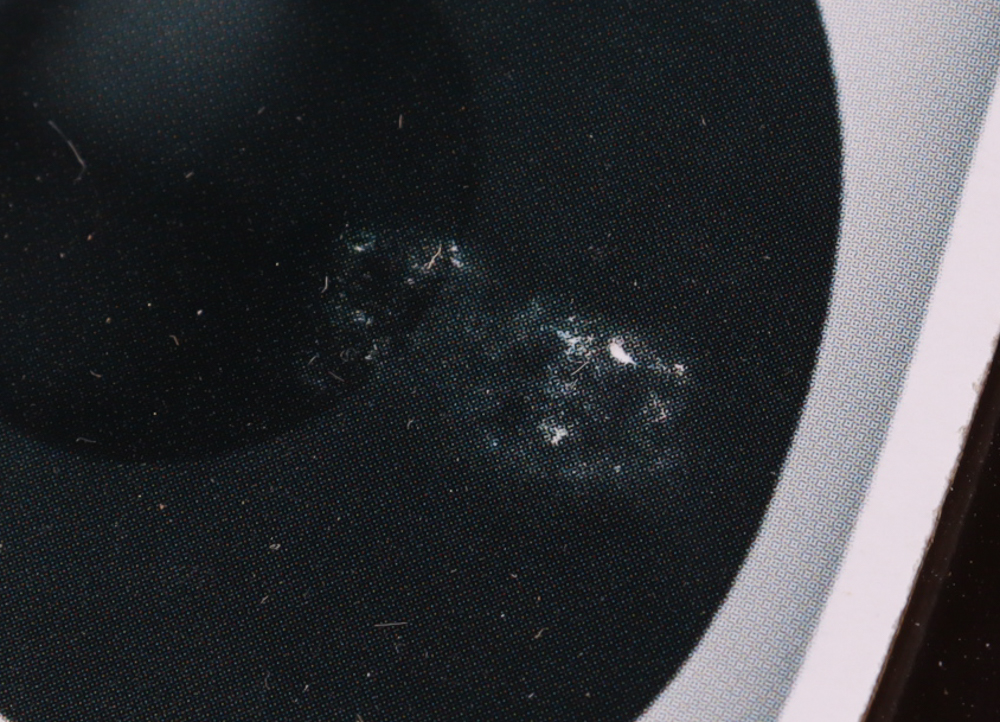 Jack Black Signed "Kung Fu Panda" #1526 Po Funko Pop! Vinyl Figure Inscribed "Po" (JSA) at PristineAuction.com Jack Black Signed "Kung Fu Panda" #1526 Po Funko Pop! Vinyl Figure Inscribed "Po" (JSA) at PristineAuction.com