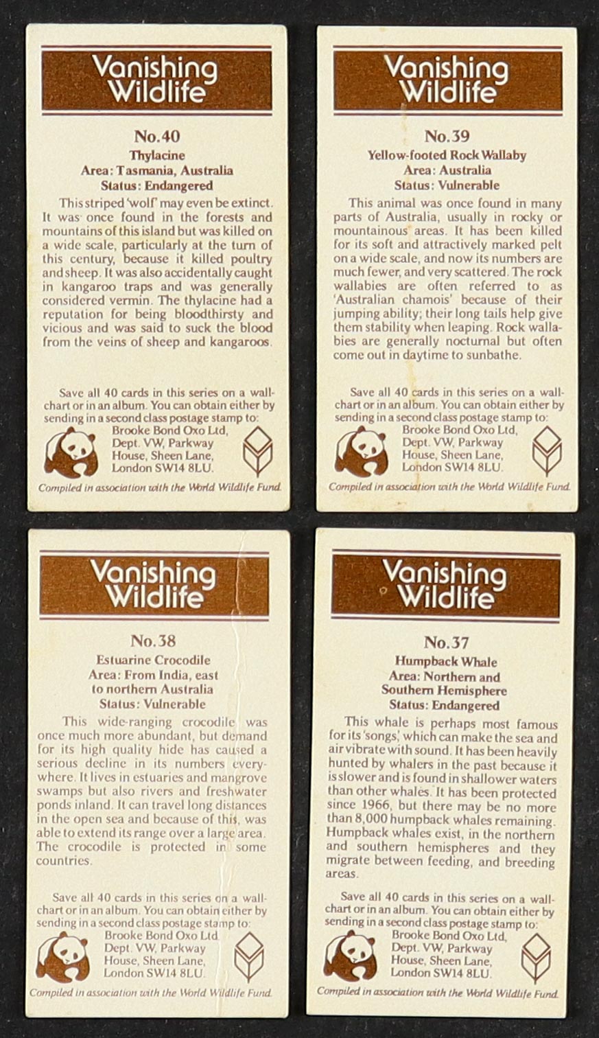 1978 Brooke Bond "Vanishing Wildlife" Complete Set of (40) Tea Set Cards with Thylacine #40, Yellow-Footed Rock Wallaby #39, Estuarine Crocodile #38, Humpback Whale #37 at PristineAuction.com 1978 Brooke Bond "Vanishing Wildlife" Complete Set of (40) Tea Set Cards with Thylacine #40, Yellow-Footed Rock Wallaby #39, Estuarine Crocodile #38, Humpback Whale #37 at PristineAuction.com