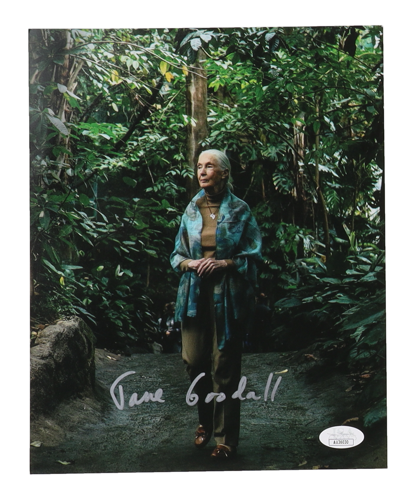Jane Goodall Signed 8x10 Photo (JSA) at PristineAuction.com Jane Goodall Signed 8x10 Photo (JSA) at PristineAuction.com