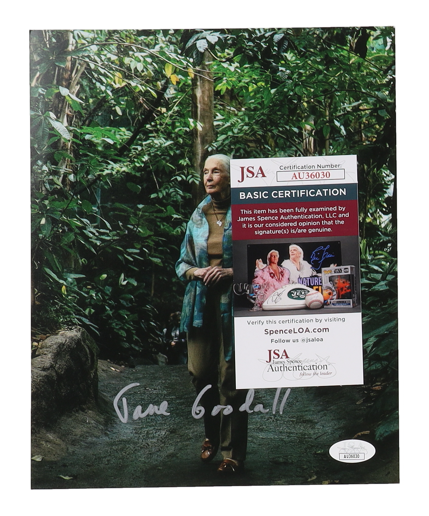 Jane Goodall Signed 8x10 Photo (JSA) at PristineAuction.com Jane Goodall Signed 8x10 Photo (JSA) at PristineAuction.com