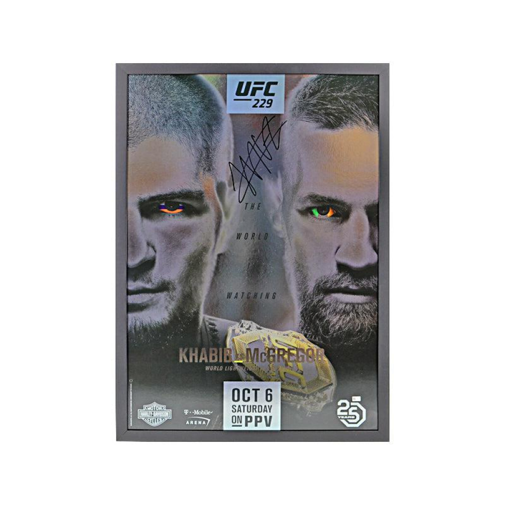 Khabib Nurmagomedov - Combattant de MMA à l'UFC - Palmares