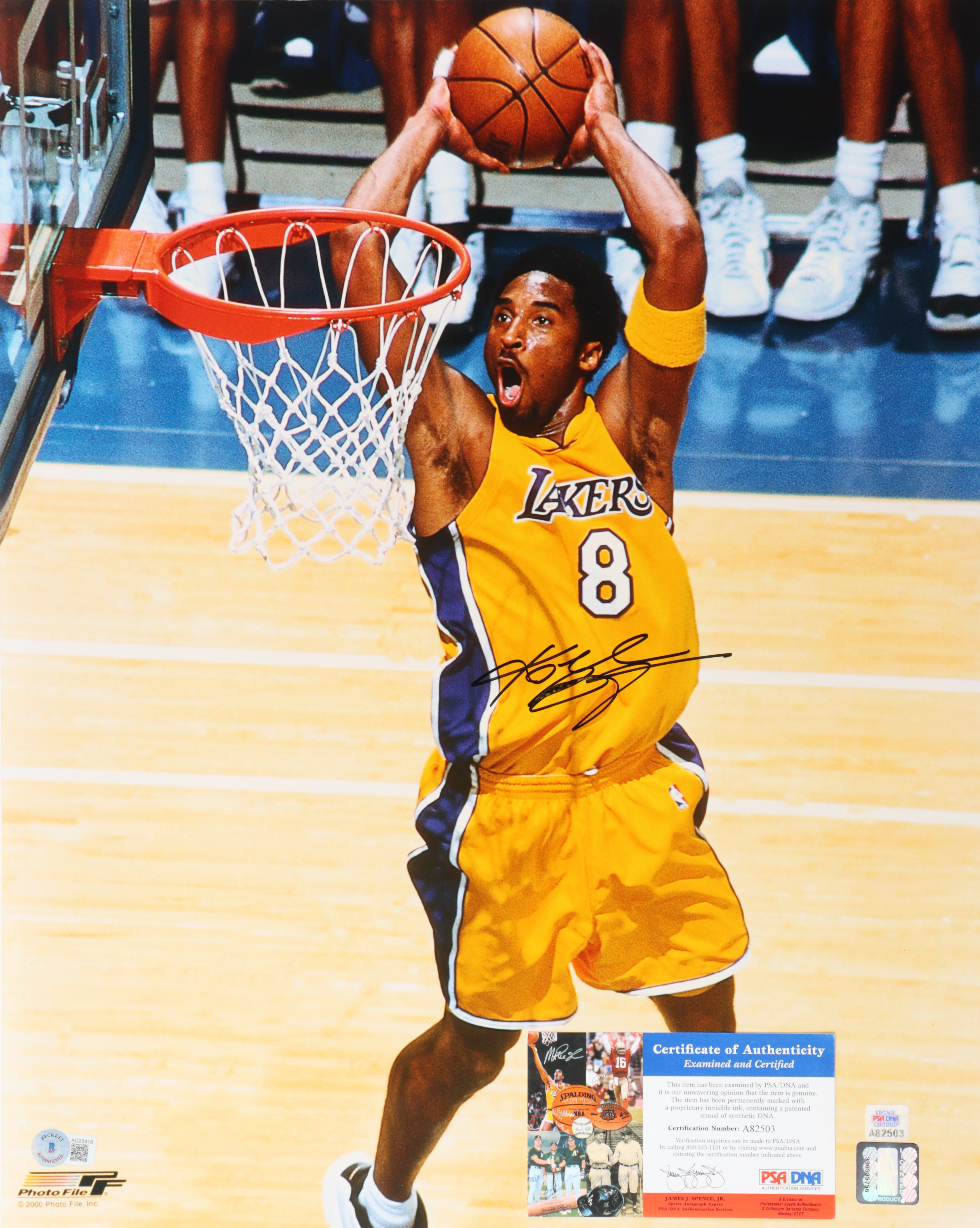 Kobe Bryant Signed Lakers 16x20 Photo (PSA & Beckett) at PristineAuction.com Kobe Bryant Signed Lakers 16x20 Photo (PSA & Beckett) at PristineAuction.com