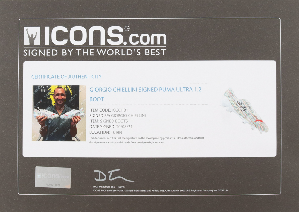 Giorgio Chiellini Signed Puma Soccer Cleat (Fanatics) at PristineAuction.com Giorgio Chiellini Signed Puma Soccer Cleat (Fanatics) at PristineAuction.com