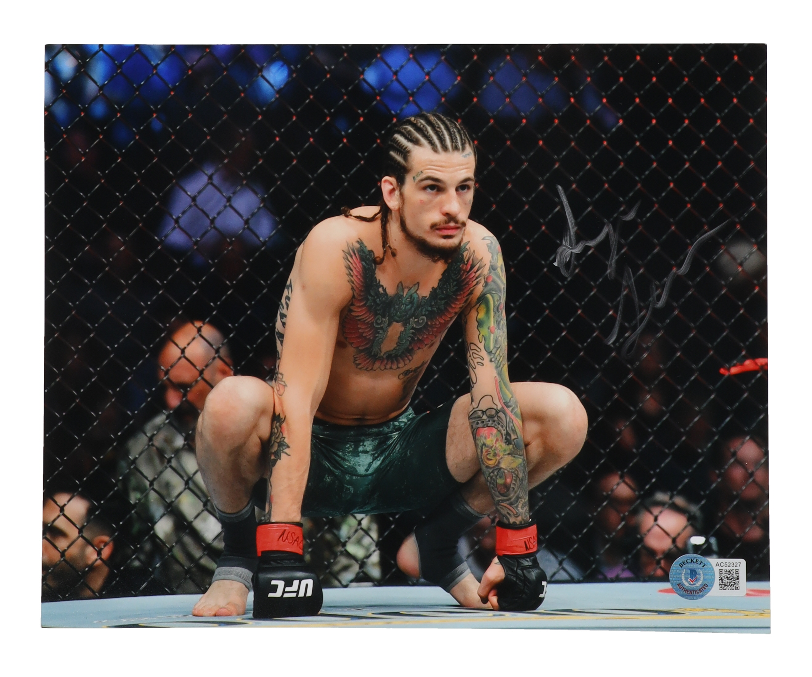 Sean O'Malley Signed UFC 8x10 Photo (Beckett) at PristineAuction.com Sean O'Malley Signed UFC 8x10 Photo (Beckett) at PristineAuction.com