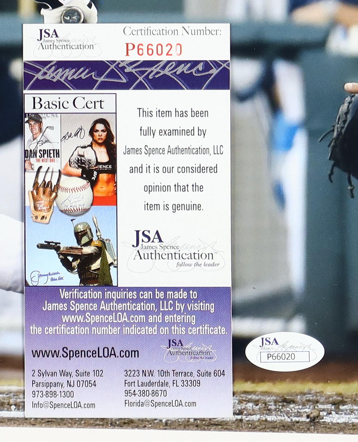 Dansby Swanson Signed Vanderbilt Commodores 11x14 Photo (JSA) at PristineAuction.com Dansby Swanson Signed Vanderbilt Commodores 11x14 Photo (JSA) at PristineAuction.com