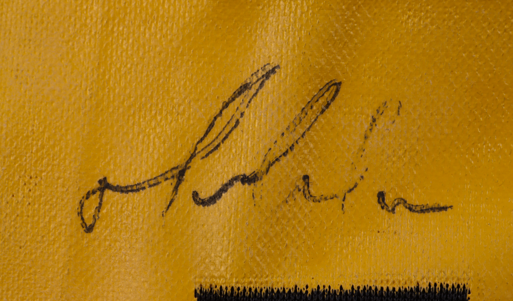Mario Lemieux Signed Jersey (PSA) at PristineAuction.com Mario Lemieux Signed Jersey (PSA) at PristineAuction.com
