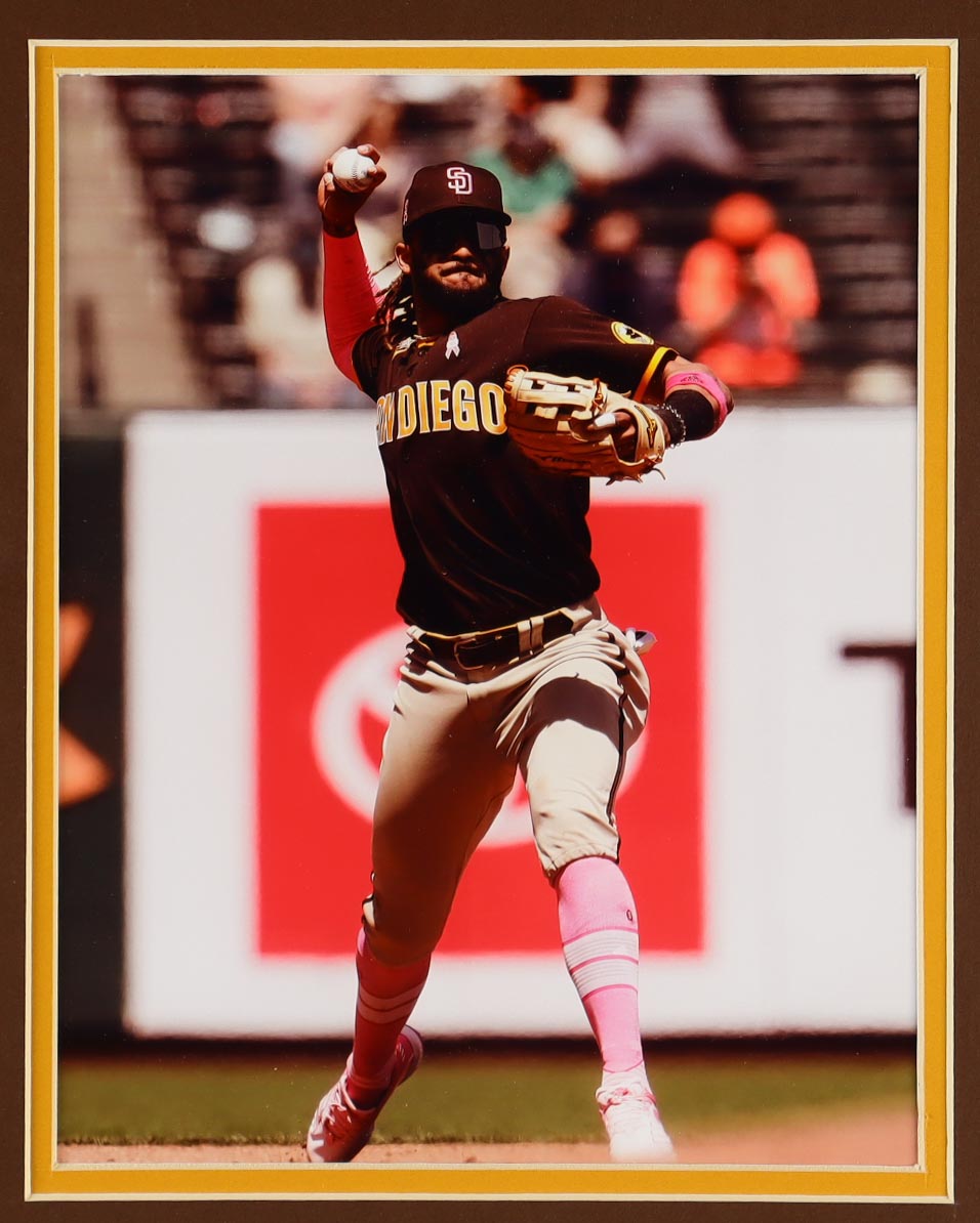 Fernando Tatís Jr. Signed Custom Framed Jersey Display (JSA) at PristineAuction.com Fernando Tatís Jr. Signed Custom Framed Jersey Display (JSA) at PristineAuction.com