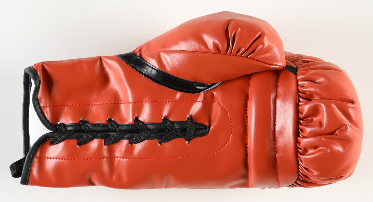 Sugar Ray Leonard Signed Everlast Boxing Glove (JSA) at PristineAuction.com Sugar Ray Leonard Signed Everlast Boxing Glove (JSA) at PristineAuction.com