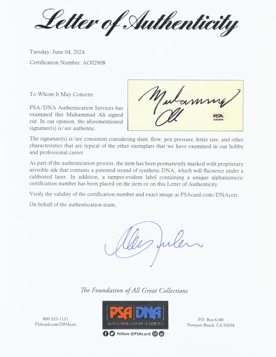 Muhammad Ali Signed Custom Framed Cut Display with Boxing Robe (PSA) at PristineAuction.com Muhammad Ali Signed Custom Framed Cut Display with Boxing Robe (PSA) at PristineAuction.com