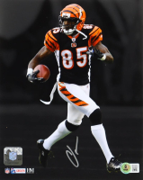 Chad Ochocinco Johnson Signed Bengals 8x10 Photo (Beckett) at PristineAuction.com