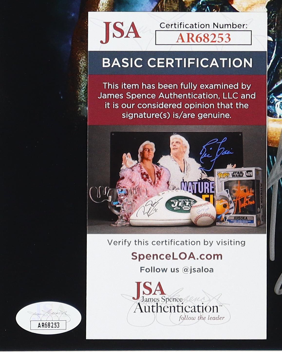 Dennis Rodman Signed 8x10 Photo (JSA) at PristineAuction.com Dennis Rodman Signed 8x10 Photo (JSA) at PristineAuction.com