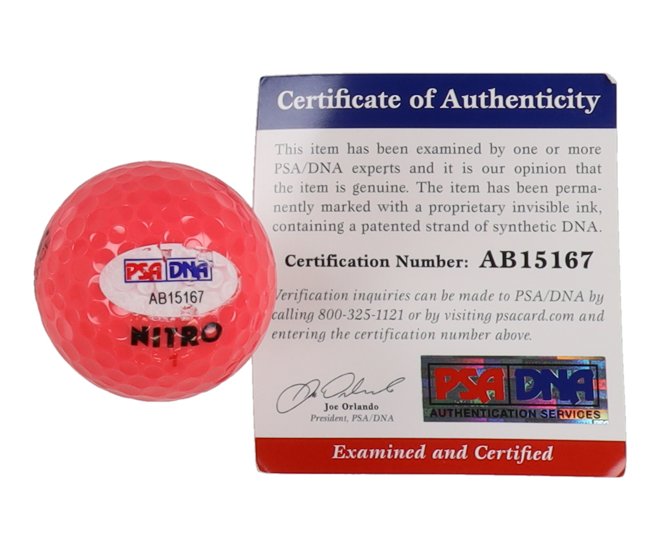 Natalie Gulbis Signed Golf Ball (PSA) at PristineAuction.com Natalie Gulbis Signed Golf Ball (PSA) at PristineAuction.com