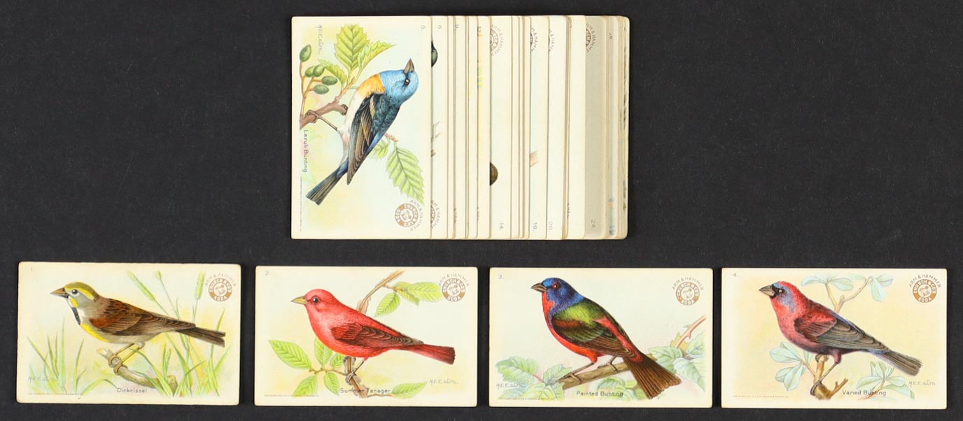 1922 Arm & Hammer / Church & Dwight "Useful Birds of America" Complete Set of (30) Cards with Dick Cissel #1, Summer Tanager #2, Painted Bunting #3, Varied Bunting #4 at PristineAuction.com 1922 Arm & Hammer / Church & Dwight "Useful Birds of America" Complete Set of (30) Cards with Dick Cissel #1, Summer Tanager #2, Painted Bunting #3, Varied Bunting #4 at PristineAuction.com