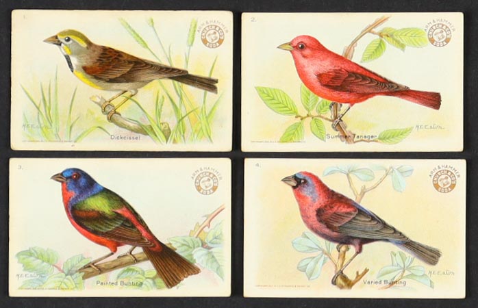 1922 Arm & Hammer / Church & Dwight "Useful Birds of America" Complete Set of (30) Cards with Dick Cissel #1, Summer Tanager #2, Painted Bunting #3, Varied Bunting #4 at PristineAuction.com 1922 Arm & Hammer / Church & Dwight "Useful Birds of America" Complete Set of (30) Cards with Dick Cissel #1, Summer Tanager #2, Painted Bunting #3, Varied Bunting #4 at PristineAuction.com