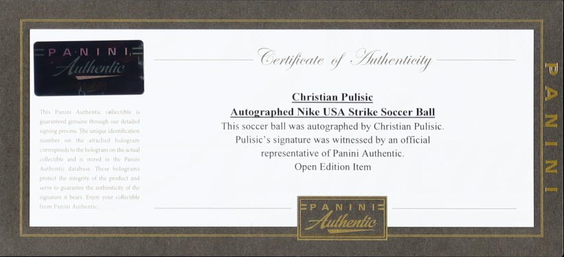 Christian Pulisic Signed Team USA Logo Nike Soccer Ball with Display Case (Panini) at PristineAuction.com Christian Pulisic Signed Team USA Logo Nike Soccer Ball with Display Case (Panini) at PristineAuction.com