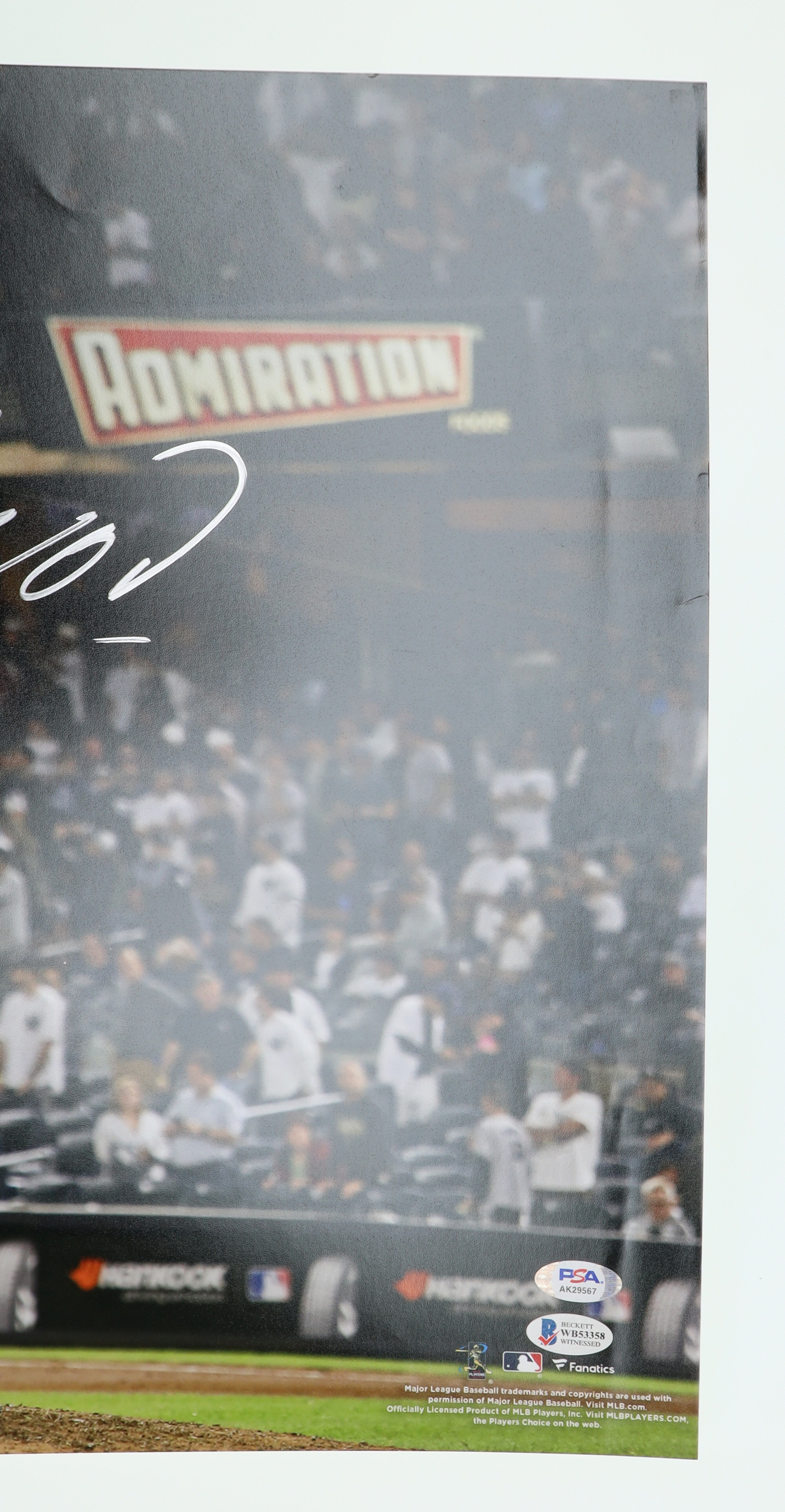 Aroldis Chapman Signed Yankees 16x20 Photo (Beckett & PSA) at PristineAuction.com Aroldis Chapman Signed Yankees 16x20 Photo (Beckett & PSA) at PristineAuction.com