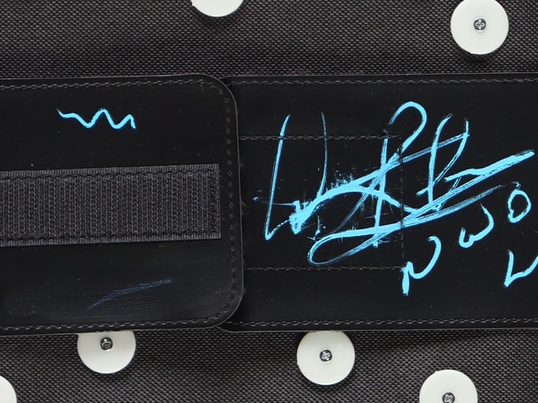 Dennis rodman Signed Replica WWE Championship Belt Inscribed "NWO 4 Life" (JSA & PIA) at PristineAuction.com Dennis rodman Signed Replica WWE Championship Belt Inscribed "NWO 4 Life" (JSA & PIA) at PristineAuction.com