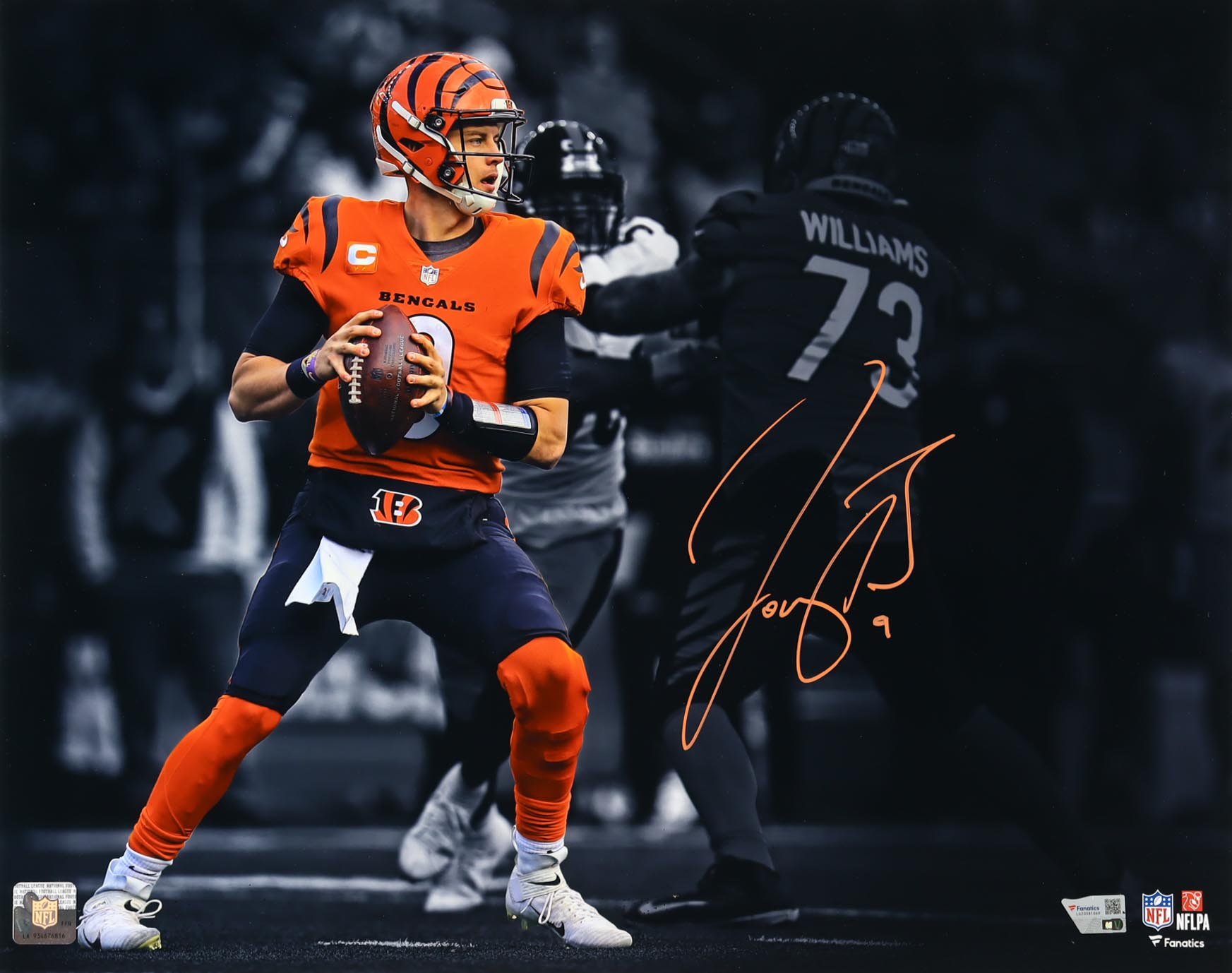 Joe Burrow Signed Bengals 16x20 Photo (Fanatics) at PristineAuction.com Joe Burrow Signed Bengals 16x20 Photo (Fanatics) at PristineAuction.com
