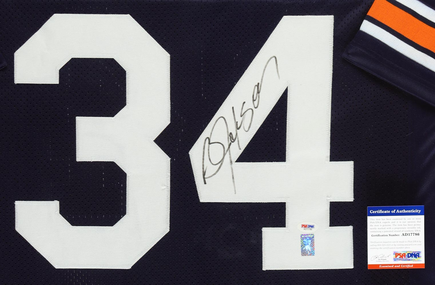 Bo Jackson Signed Custom Framed Career Stat Highlight Jersey with (2) Trading Cards (PSA/DNA)) at PristineAuction.com Bo Jackson Signed Custom Framed Career Stat Highlight Jersey with (2) Trading Cards (PSA/DNA)) at PristineAuction.com