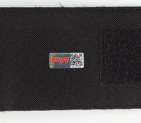 Hulk Hogan & Dennis Rodman Signed WWE Championship Belt Inscribed "NWO 4 Life" (PIA) at PristineAuction.com Hulk Hogan & Dennis Rodman Signed WWE Championship Belt Inscribed "NWO 4 Life" (PIA) at PristineAuction.com