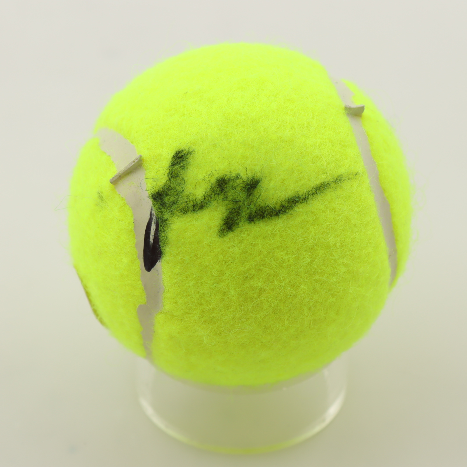 Daniil Medvedev Signed Tennis Ball (AutographCOA) at PristineAuction.com Daniil Medvedev Signed Tennis Ball (AutographCOA) at PristineAuction.com