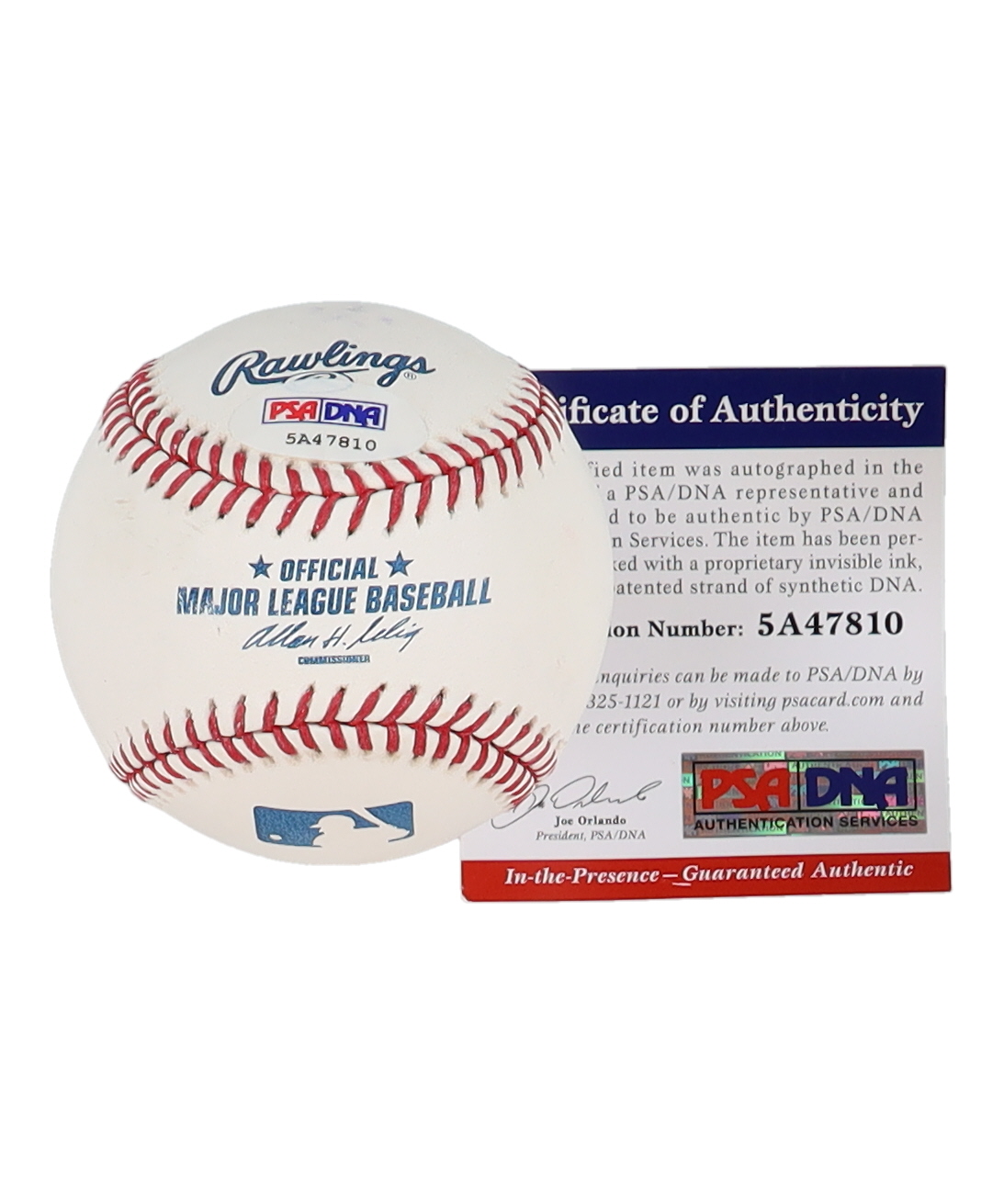 Mike Piazza Signed OML Baseball (PSA) at PristineAuction.com Mike Piazza Signed OML Baseball (PSA) at PristineAuction.com
