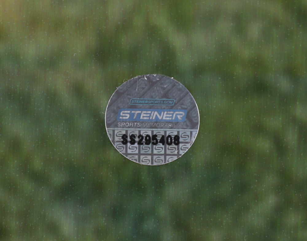 Lawrence Taylor Signed Giants 16x20 Photo (Steiner) Pristine Auction