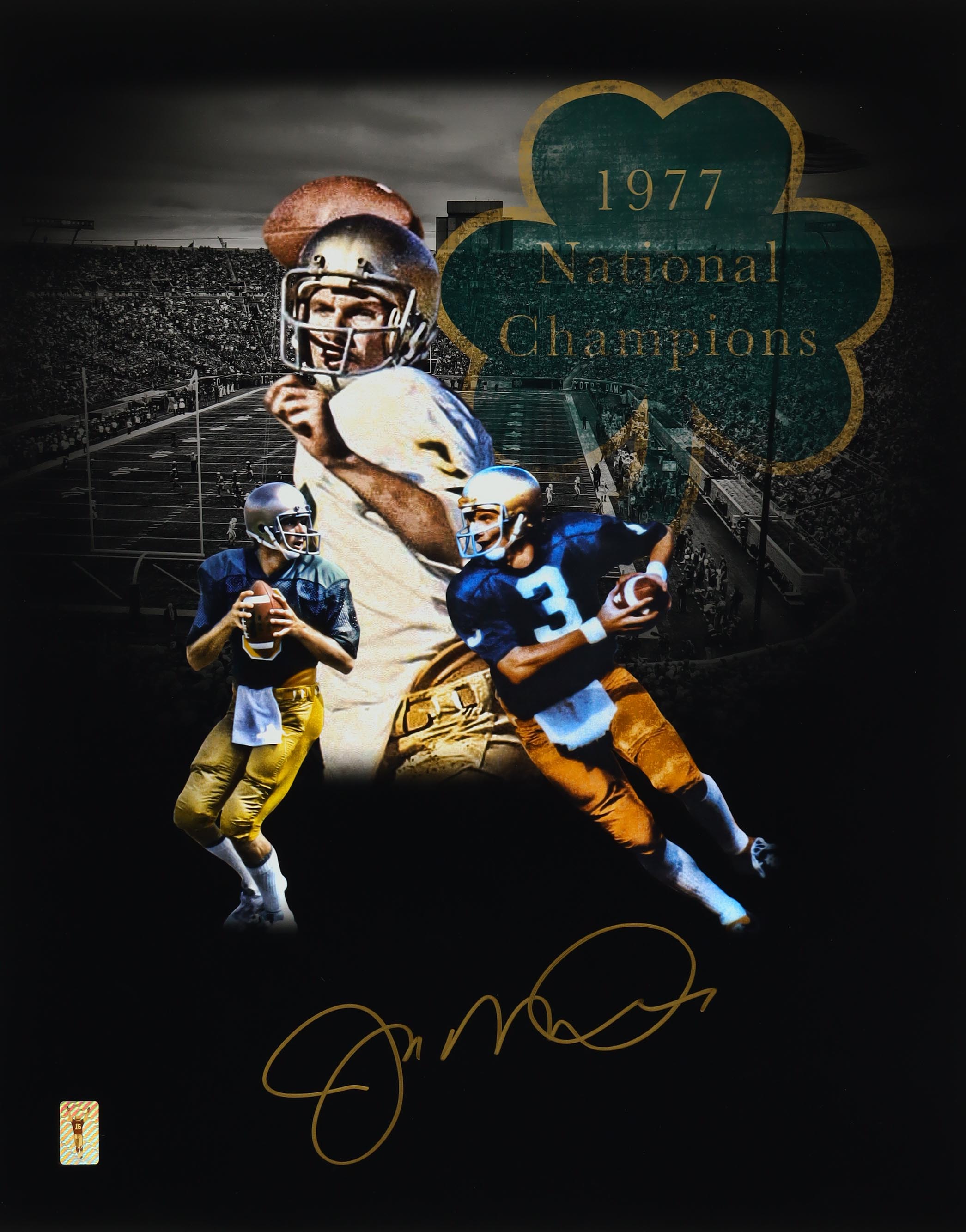 Joe Montana Signed Notre Dame Fighting Irish "1977 National Champs" 16x20 Photo (Montana) at PristineAuction.com Joe Montana Signed Notre Dame Fighting Irish "1977 National Champs" 16x20 Photo (Montana) at PristineAuction.com