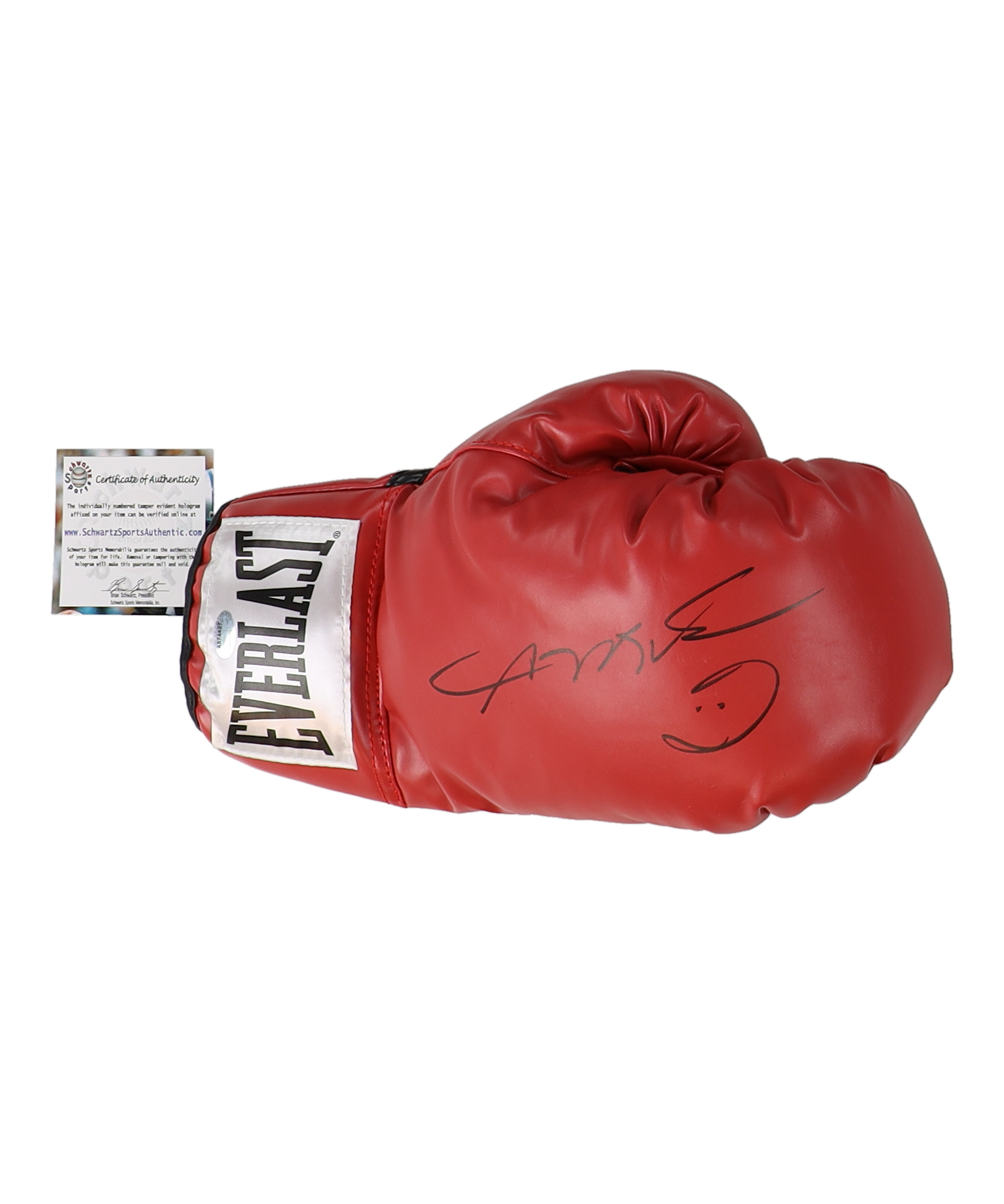 Sugar Ray Leonard Signed Everlast Boxing Glove (Schwartz) at PristineAuction.com Sugar Ray Leonard Signed Everlast Boxing Glove (Schwartz) at PristineAuction.com