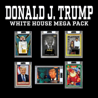 Break King "DONALD J. TRUMP WHITE HOUSE MEGA" Mystery Box / Pack Series 1 Lot of (4) at PristineAuction.com Break King "DONALD J. TRUMP WHITE HOUSE MEGA" Mystery Box / Pack Series 1 Lot of (4) at PristineAuction.com