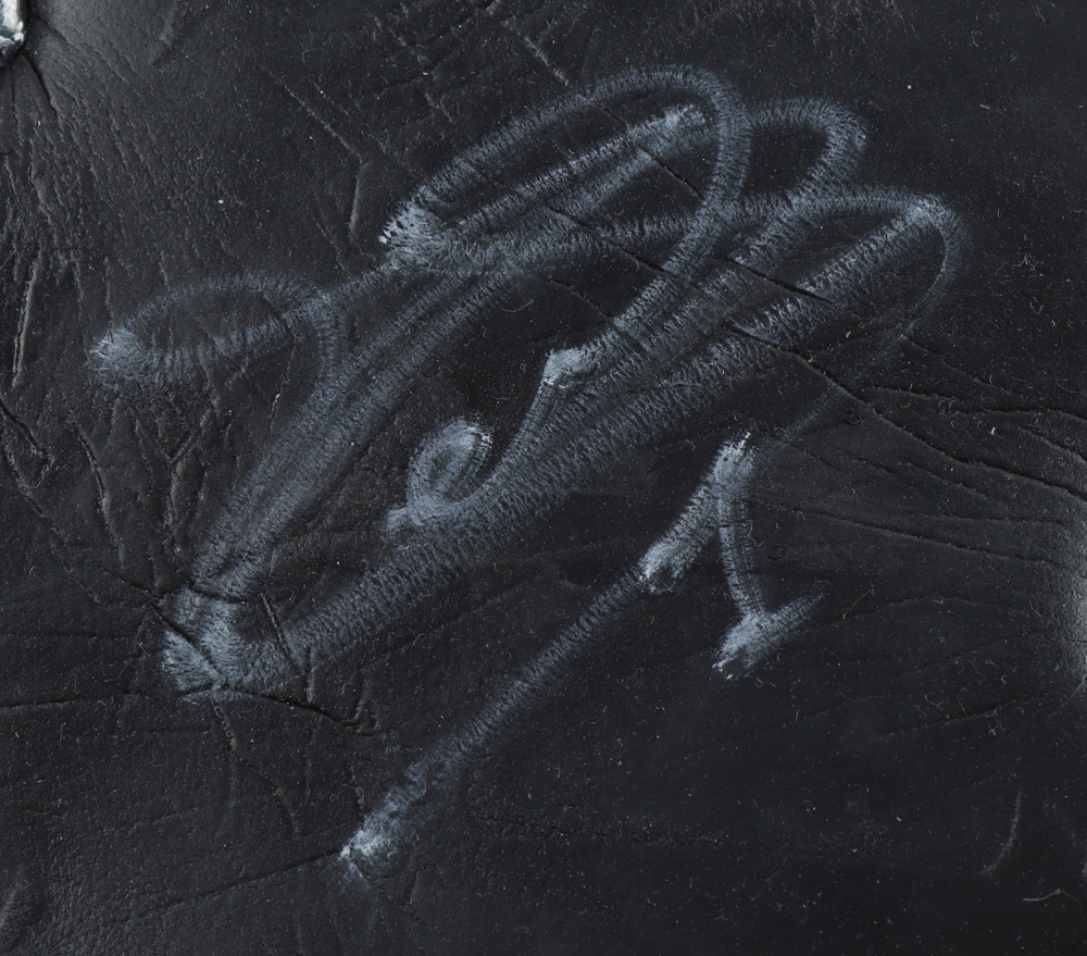 Thibaut Courtois Signed Real Madrid Goalie Glove (Beckett) at PristineAuction.com Thibaut Courtois Signed Real Madrid Goalie Glove (Beckett) at PristineAuction.com