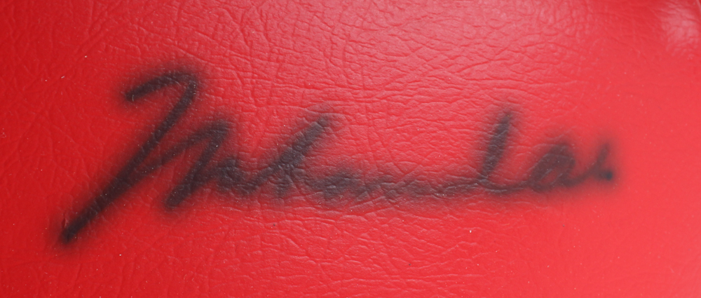 Muhammad Ali Signed Set of Everlast Boxing Gloves (JSA) at PristineAuction.com Muhammad Ali Signed Set of Everlast Boxing Gloves (JSA) at PristineAuction.com