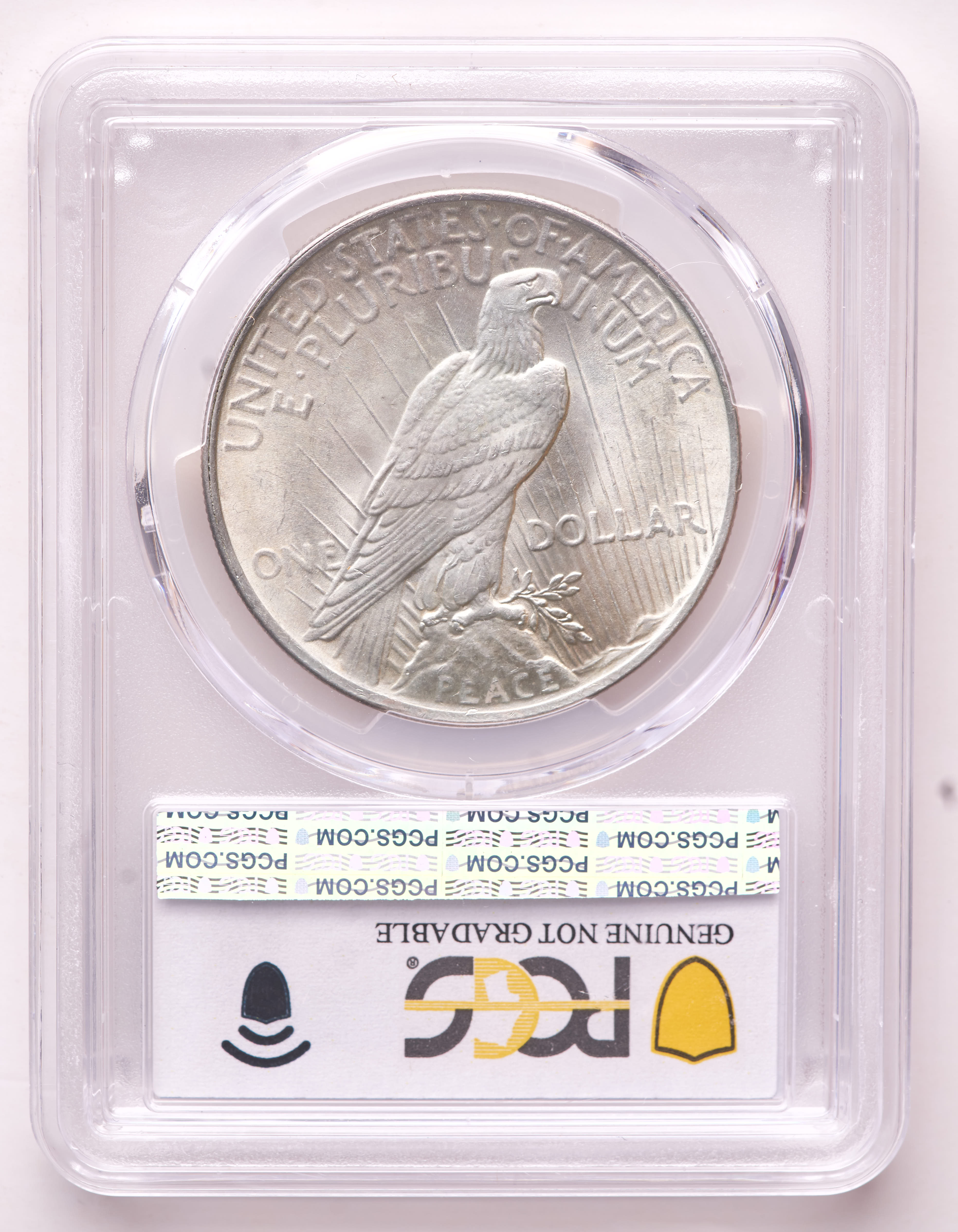 1924 Peace Silver Dollar (PCGS UNC Details) at PristineAuction.com 1924 Peace Silver Dollar (PCGS UNC Details) at PristineAuction.com