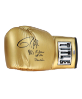 Roy Jones Jr. Signed Title Boxing Glove Inscribed "90's Fighter of the Decade" (Schwartz) at PristineAuction.com