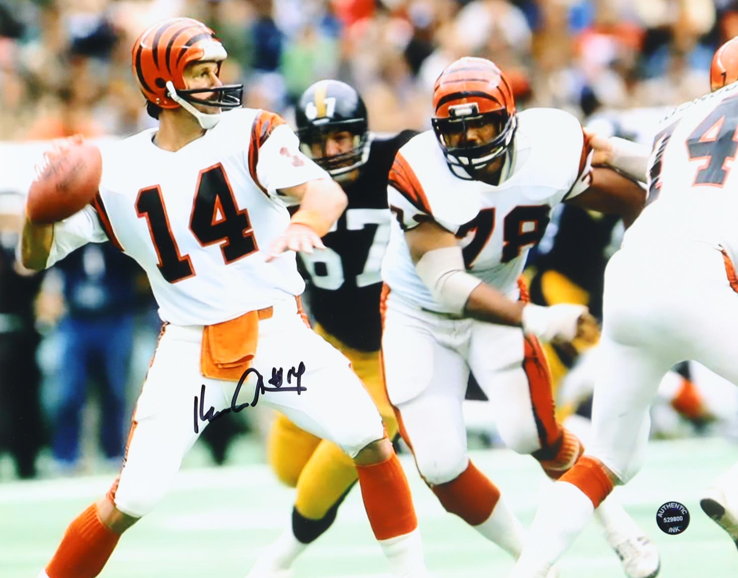 Ken Anderson Signed Bengals 11x14 Photo (Playball Ink) at PristineAuction.com Ken Anderson Signed Bengals 11x14 Photo (Playball Ink) at PristineAuction.com