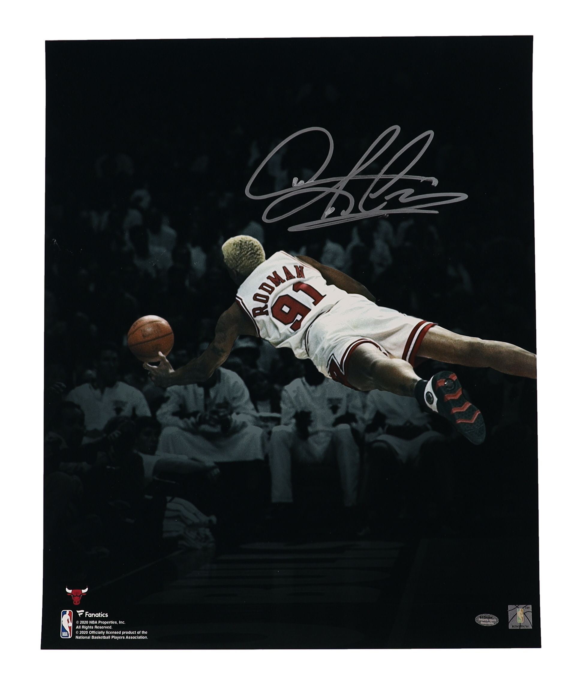 Dennis Rodman Signed Bulls 16x20 Photo (Schwartz) at PristineAuction.com Dennis Rodman Signed Bulls 16x20 Photo (Schwartz) at PristineAuction.com