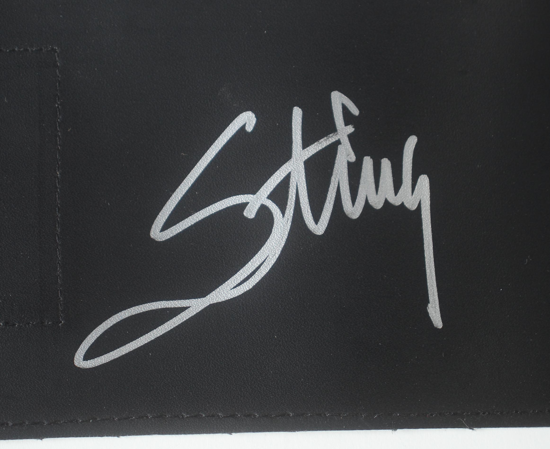 Sting Signed WWE Championship Belt (Schwartz) at PristineAuction.com Sting Signed WWE Championship Belt (Schwartz) at PristineAuction.com