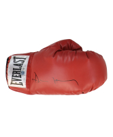 Devin Haney Signed Everlast Boxing Glove (Beckett) at PristineAuction.com