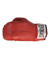 Devin Haney Signed Everlast Boxing Glove (Beckett) at PristineAuction.com