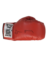 Devin Haney Signed Everlast Boxing Glove (Beckett) at PristineAuction.com