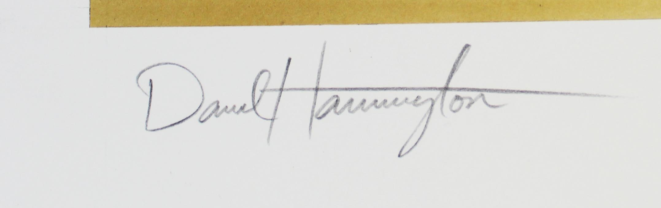 Dikembe Mutombo Signed Nuggets 24x30 Lithograph (Beckett) at PristineAuction.com Dikembe Mutombo Signed Nuggets 24x30 Lithograph (Beckett) at PristineAuction.com