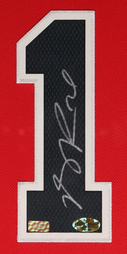 Derrick Rose Signed Custom Framed Jersey Display (PSA) at PristineAuction.com Derrick Rose Signed Custom Framed Jersey Display (PSA) at PristineAuction.com