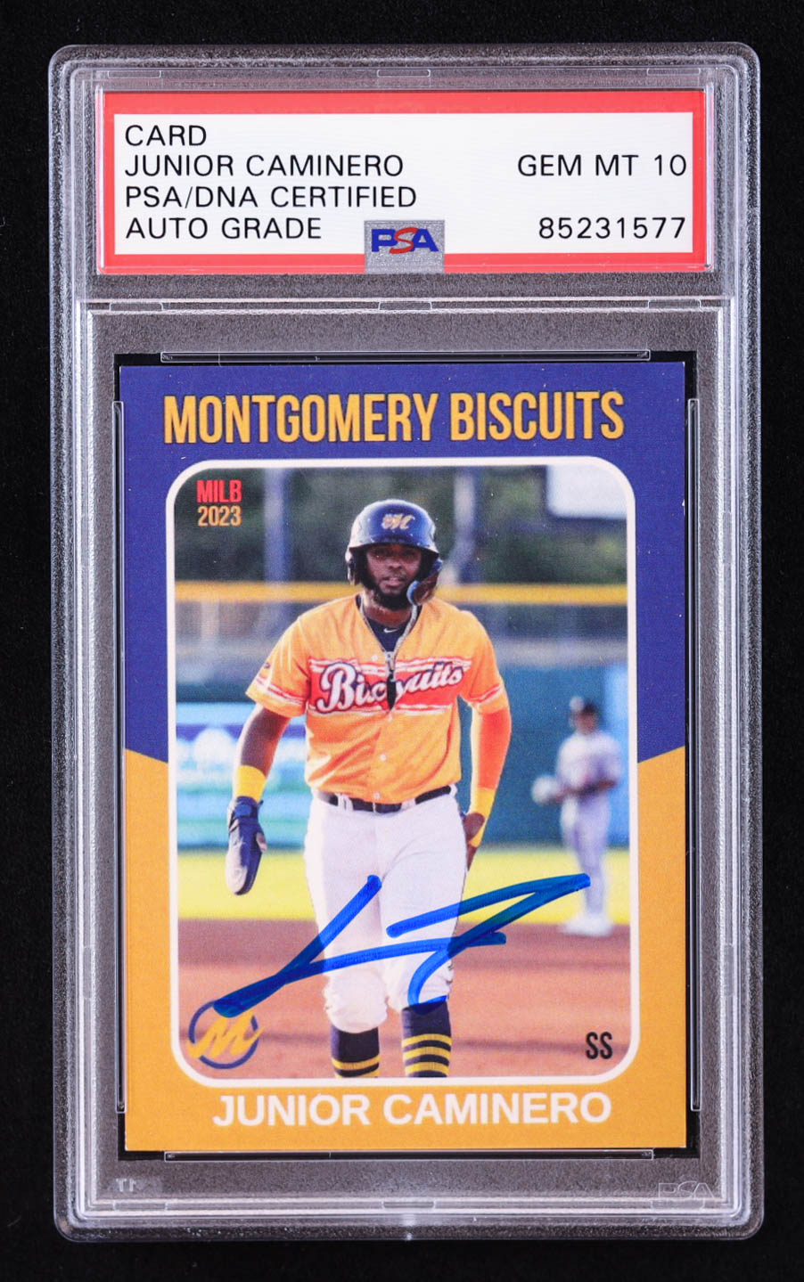 Junior Caminero Signed Minor League Card (PSA | Auto 10) at PristineAuction.com Junior Caminero Signed Minor League Card (PSA | Auto 10) at PristineAuction.com