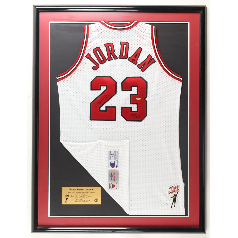 Michael Jordan Signed LE Bulls 