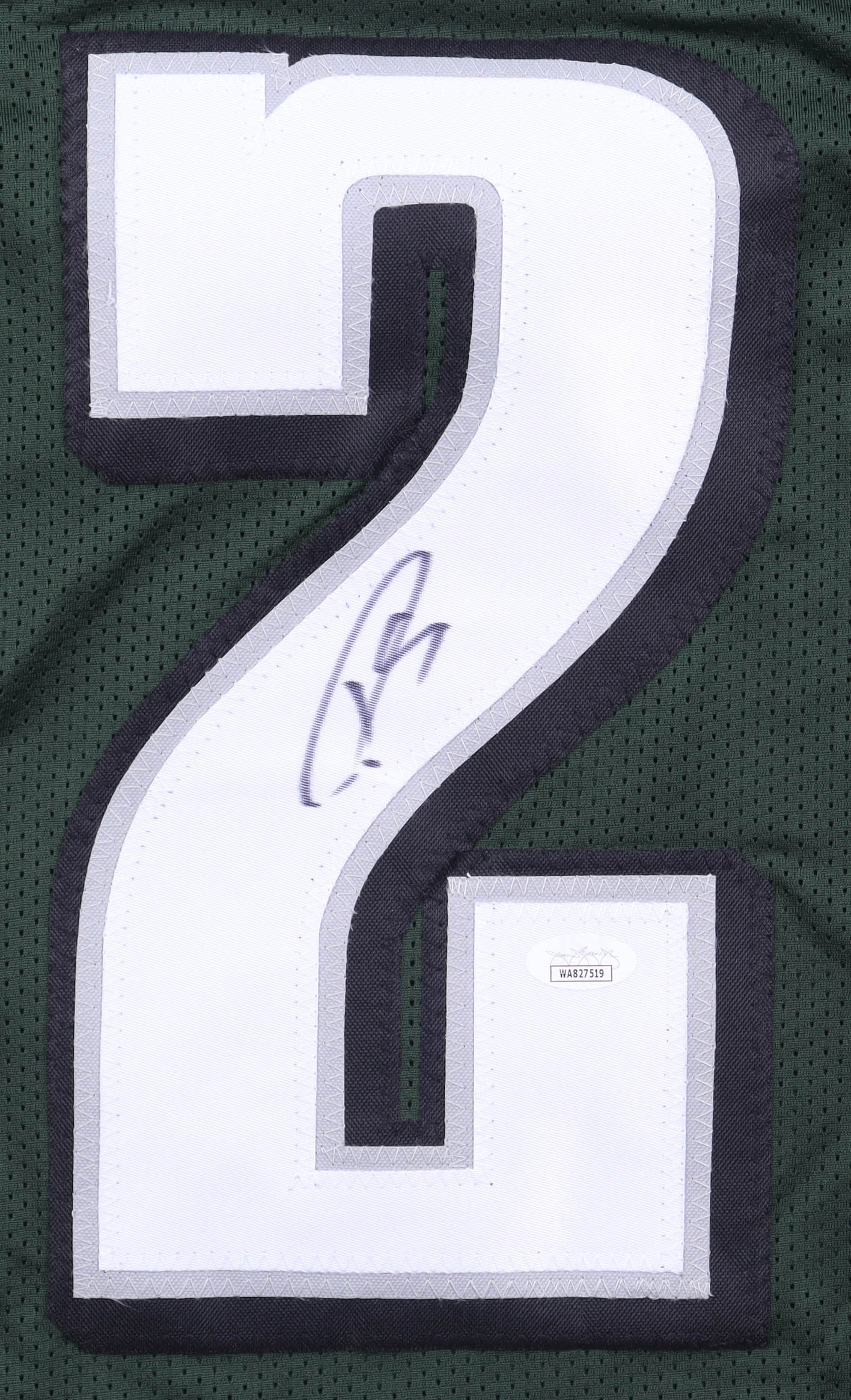 Darius Slay Jr. Signed Jersey (JSA) at PristineAuction.com Darius Slay Jr. Signed Jersey (JSA) at PristineAuction.com