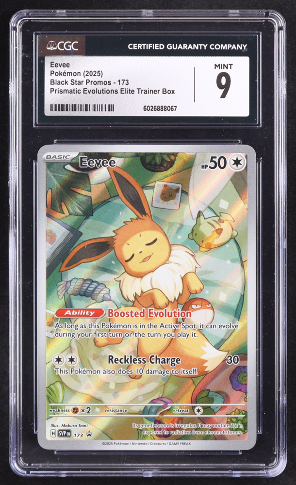 Eevee 2025 Pokemon Scarlet and Violet Black Star Promos #173SVP (CGC 9) at PristineAuction.com Eevee 2025 Pokemon Scarlet and Violet Black Star Promos #173SVP (CGC 9) at PristineAuction.com