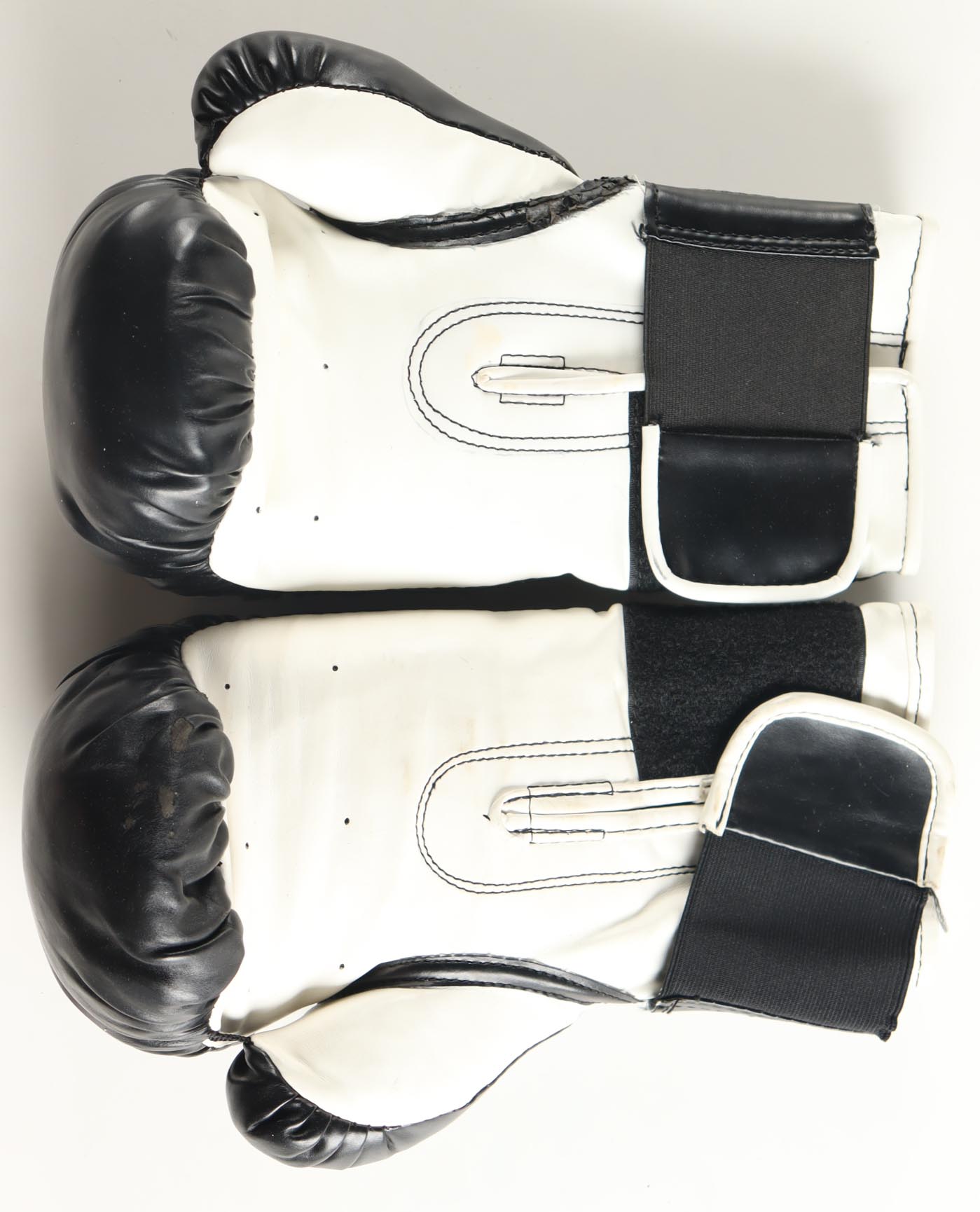 Mike Tyson Signed Everlast Boxing Gloves With Display Case (Tyson) at PristineAuction.com Mike Tyson Signed Everlast Boxing Gloves With Display Case (Tyson) at PristineAuction.com