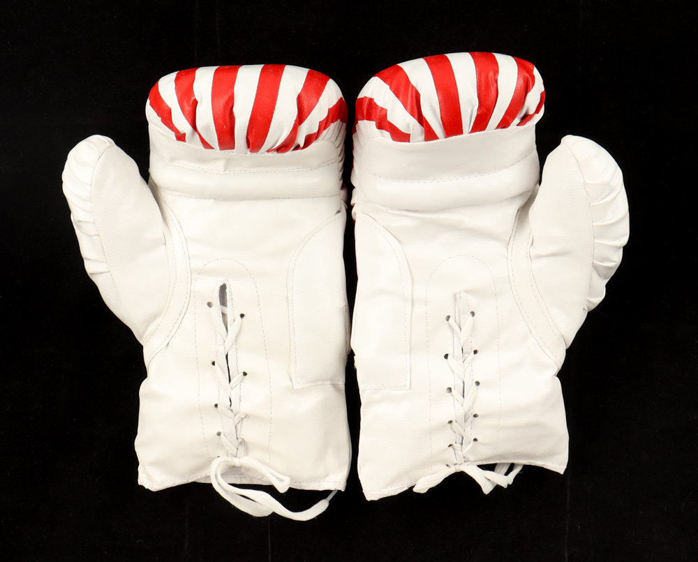 Mike Tyson Signed Pair of USA Boxing Gloves (Tyson) at PristineAuction.com Mike Tyson Signed Pair of USA Boxing Gloves (Tyson) at PristineAuction.com